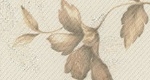 TT9217