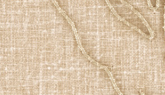 AC1004