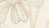 AC1006-2