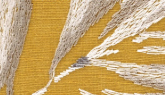 AC1008