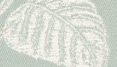 AC1125